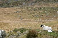 Cjp_2017-04-14_085100.jpg