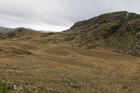 Cjp_2017-04-14_085500.jpg