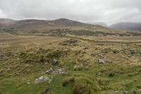 Cjp_2017-04-14_090042.jpg