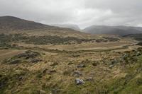 Cjp_2017-04-14_090050.jpg