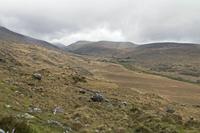 Cjp_2017-04-14_090142.jpg
