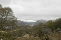 Cjp_2017-04-14_091106.jpg