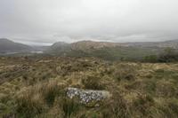 Cjp_2017-04-14_091654.jpg