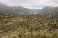 Cjp_2017-04-14_091658.jpg