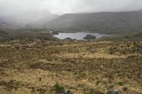 Cjp_2017-04-14_091718.jpg