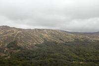 Cjp_2017-04-14_091908.jpg