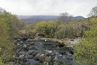 Cjp_2017-04-14_092520.jpg