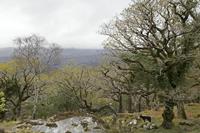 Cjp_2017-04-14_092602.jpg