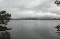 Cjp_2017-04-14_094902.jpg