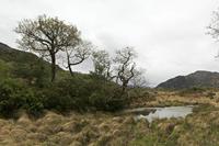 Cjp_2017-04-14_095302.jpg