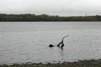 Cjp_2017-04-14_095552.jpg