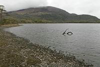 Cjp_2017-04-14_095622.jpg