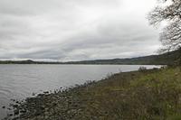 Cjp_2017-04-14_095722.jpg