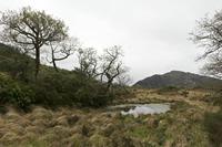 Cjp_2017-04-14_100126.jpg