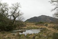 Cjp_2017-04-14_100130.jpg