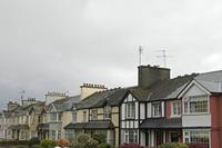 Cjp_2017-04-14_130548.jpg
