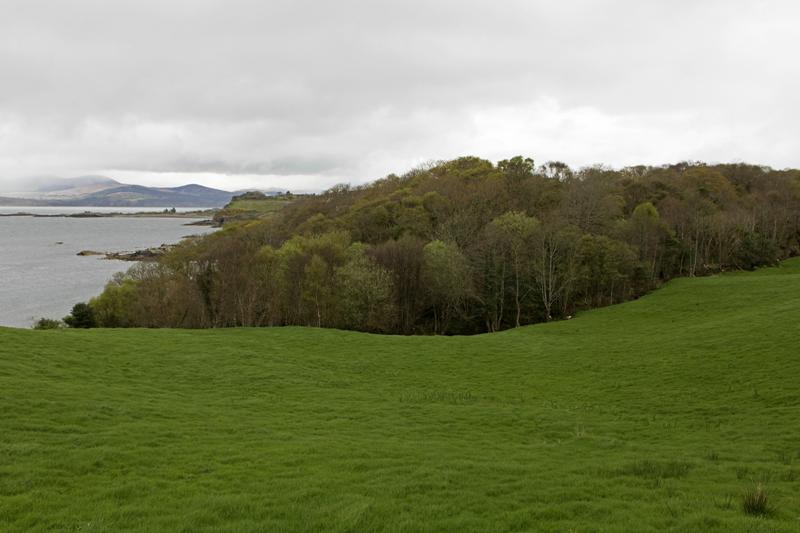 Cjp_2017-04-14_145036.jpg