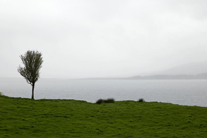 Cjp_2017-04-14_145430.jpg