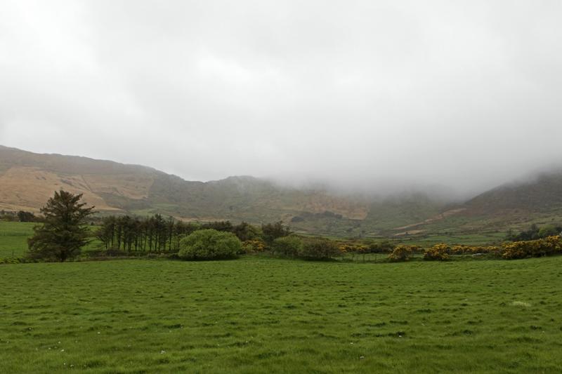 Cjp_2017-04-14_160412.jpg