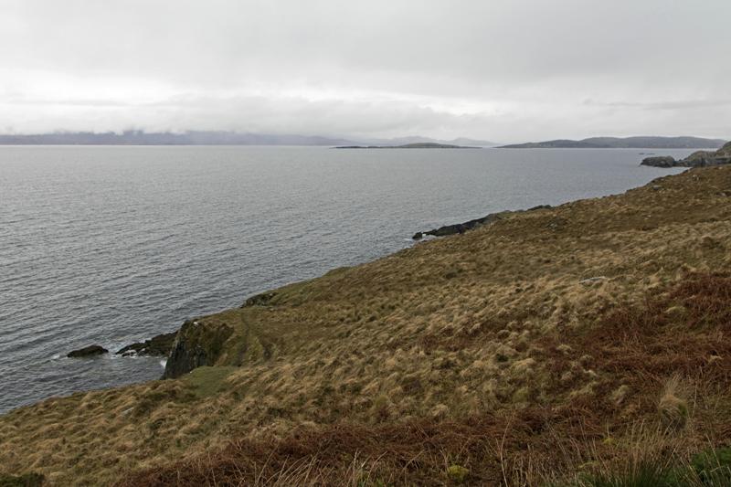 Cjp_2017-04-14_161140.jpg