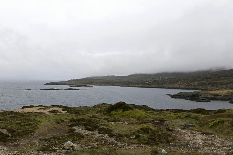 Cjp_2017-04-14_162506.jpg