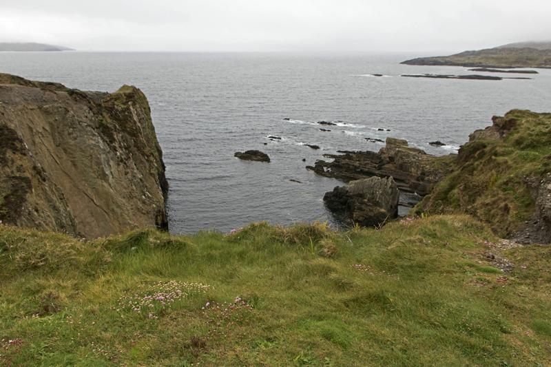 Cjp_2017-04-14_162540.jpg