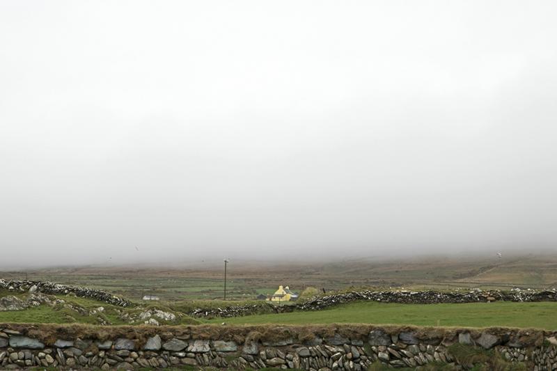 Cjp_2017-04-14_165310.jpg