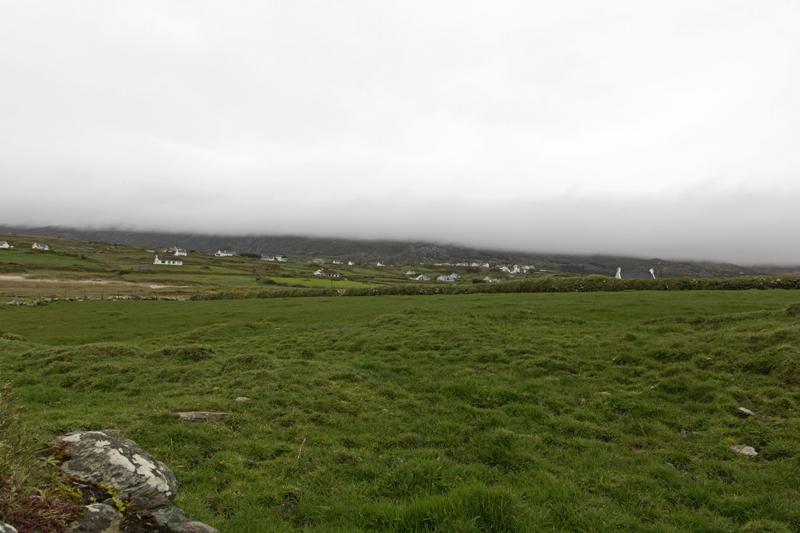 Cjp_2017-04-14_170956.jpg