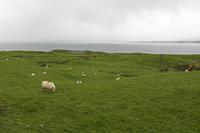 Cjp_2017-04-14_145128.jpg