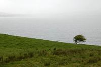 Cjp_2017-04-14_145420.jpg