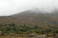 Cjp_2017-04-14_152650.jpg