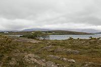 Cjp_2017-04-14_152842.jpg