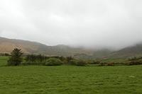 Cjp_2017-04-14_160412.jpg