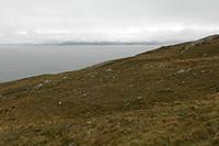 Cjp_2017-04-14_160906.jpg