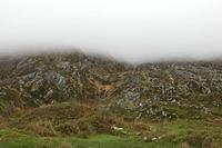 Cjp_2017-04-14_162038.jpg