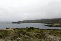 Cjp_2017-04-14_162506.jpg