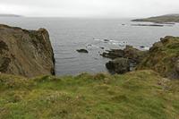 Cjp_2017-04-14_162540.jpg