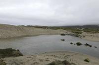 Cjp_2017-04-14_165656.jpg