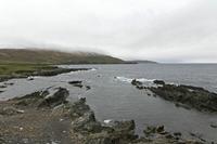 Cjp_2017-04-14_170214.jpg