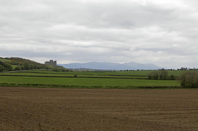 Cjp_2017-04-19_144126_2.jpg