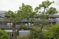 Cjp_2017_06_05_120153.jpg