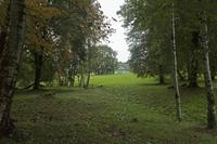Cjp_2017_09_18_060058.jpg