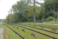 Cjp_2017_10_10_123932.jpg