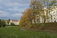 Cjp_2017_10_10_150432.jpg