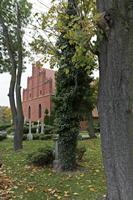 Cjp_2017_10_12_061954.jpg