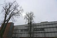 Cjp_2018_03_31_131824.jpg