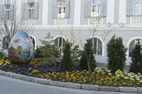 Cjp_2018_04_08_151338.jpg