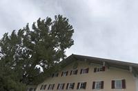 Cjp_2018_04_10_102352.jpg