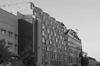 Cjp_2018_06_04_183800_NB.jpg