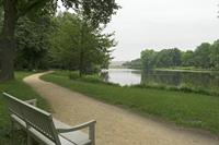 Cjp_2018_06_05_083006.jpg